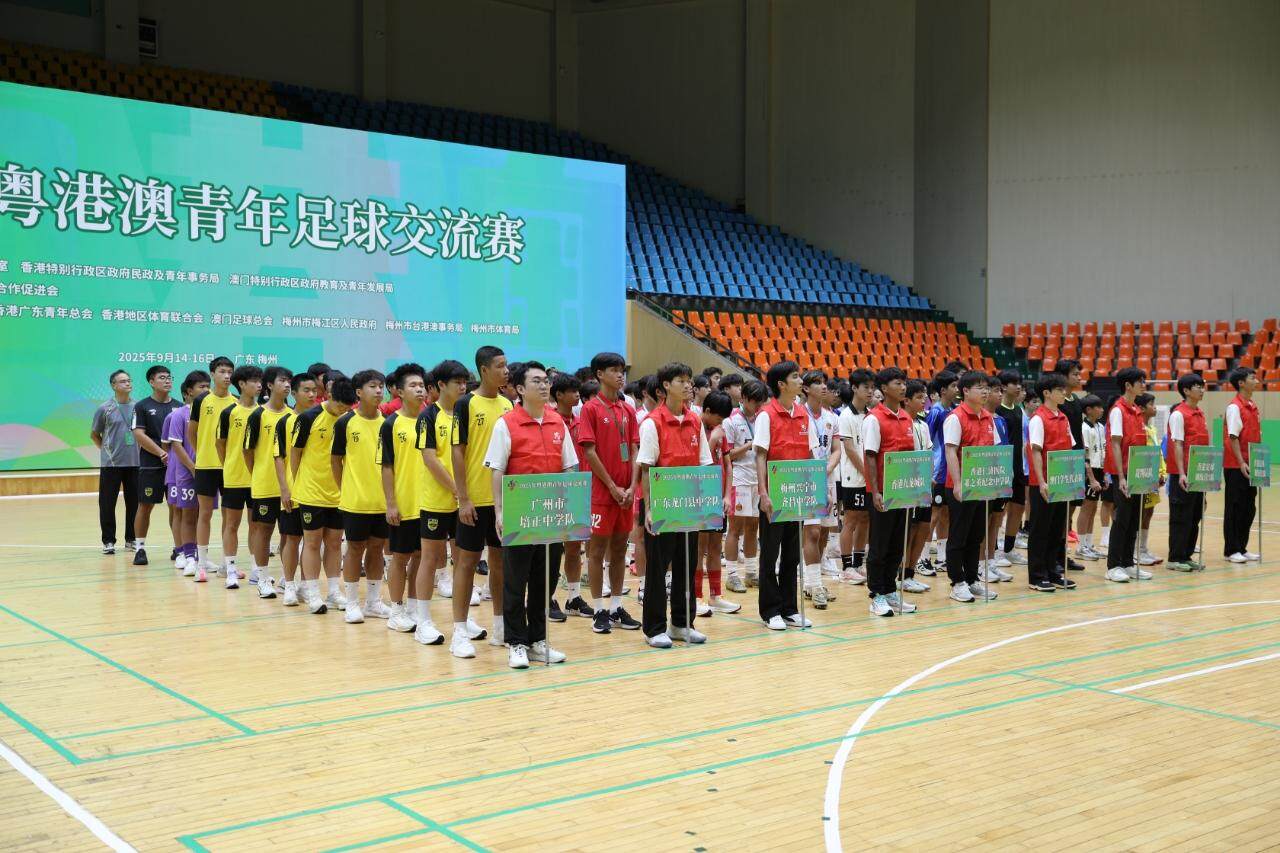 二是期望青, 本届赛事充