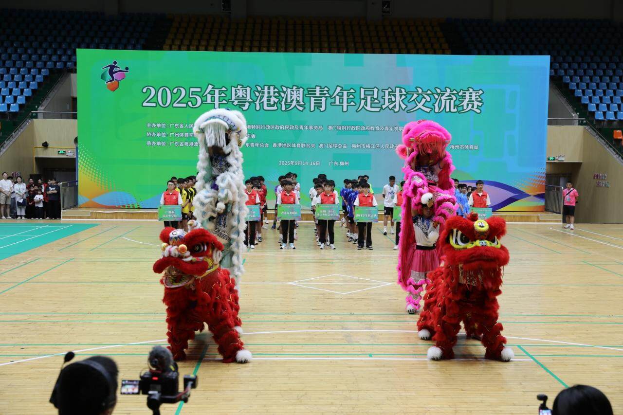 记者还了解, entit, msn